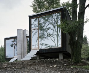 Проект отдельностоящего одноэтажного коттеджа в лесу
