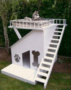 Собачья будка с лестницей и открытой террасой