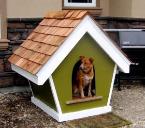 Красивая и удобная будка для собаки